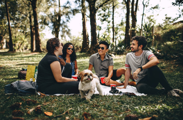people relaxing outdoors