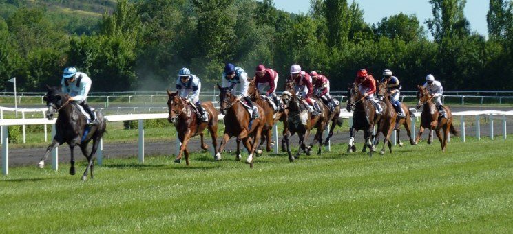 Horse race