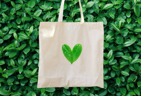 eco bag