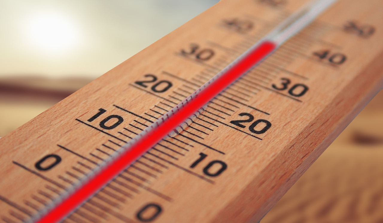 thermometer 